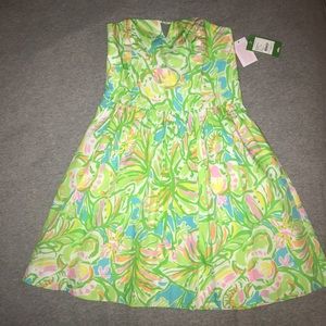 Lilly Pulitzer Richelle Dress in Elephant Ears